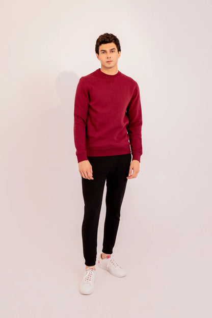 Crew Neck Logo Sweatshirt Men Sweatshirt Winter 2024 Knit Story COUGAR- (Men Winter 2024)   