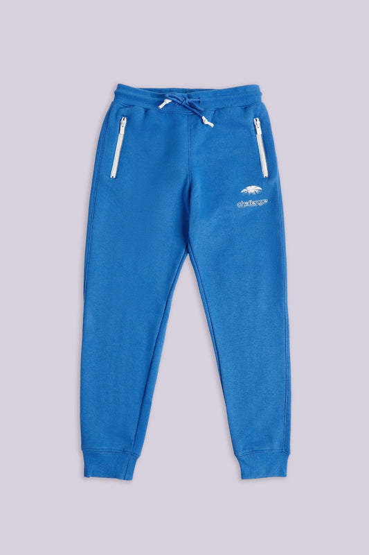 Graphic Jogger Pants Boy Trouser Winter 2024 COUGAR- (Boy Junior Winter 2024) 11-12 Y Blue Boy