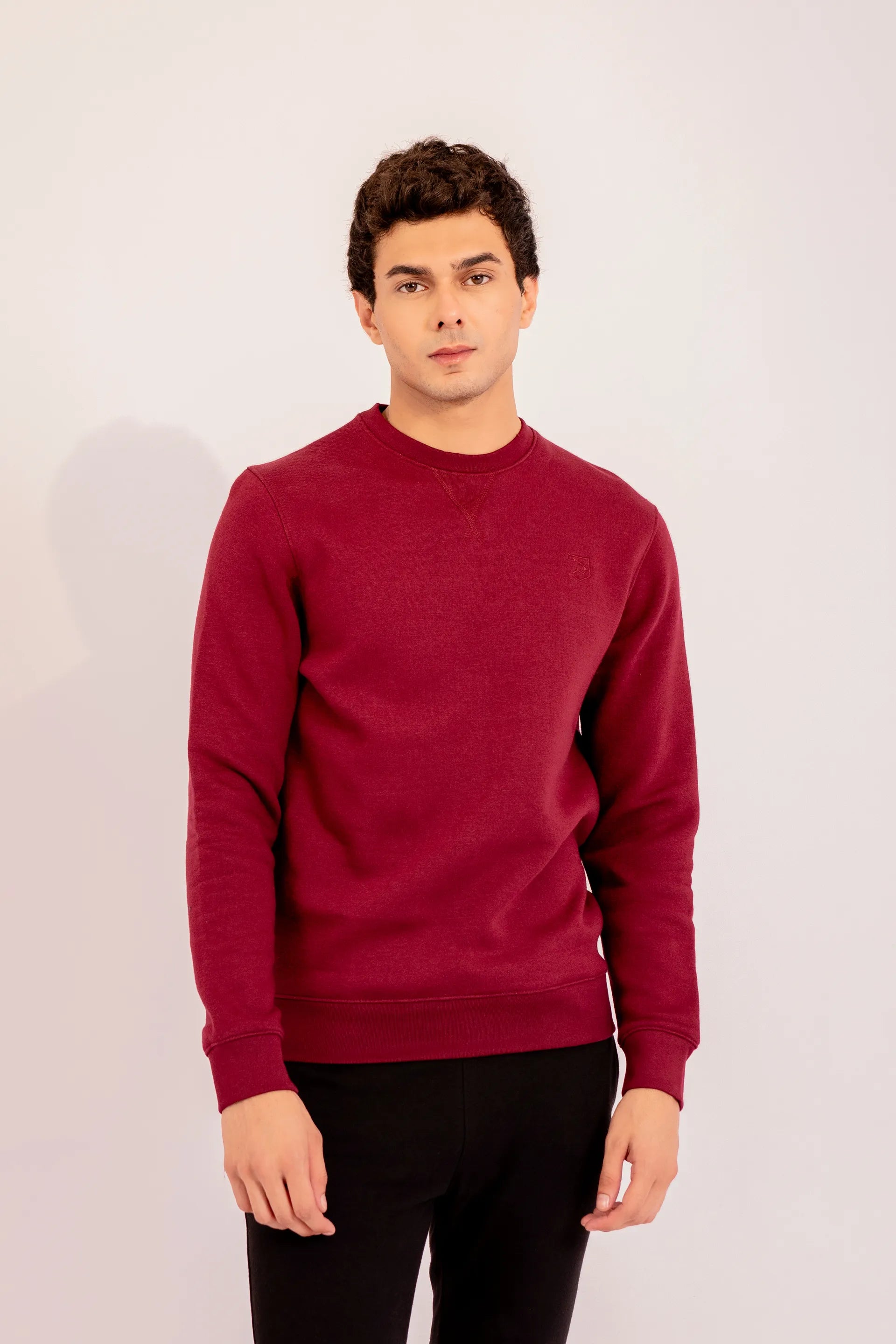 Crew Neck Logo Sweatshirt Men Sweatshirt Winter 2024 Knit Story COUGAR- (Men Winter 2024)   