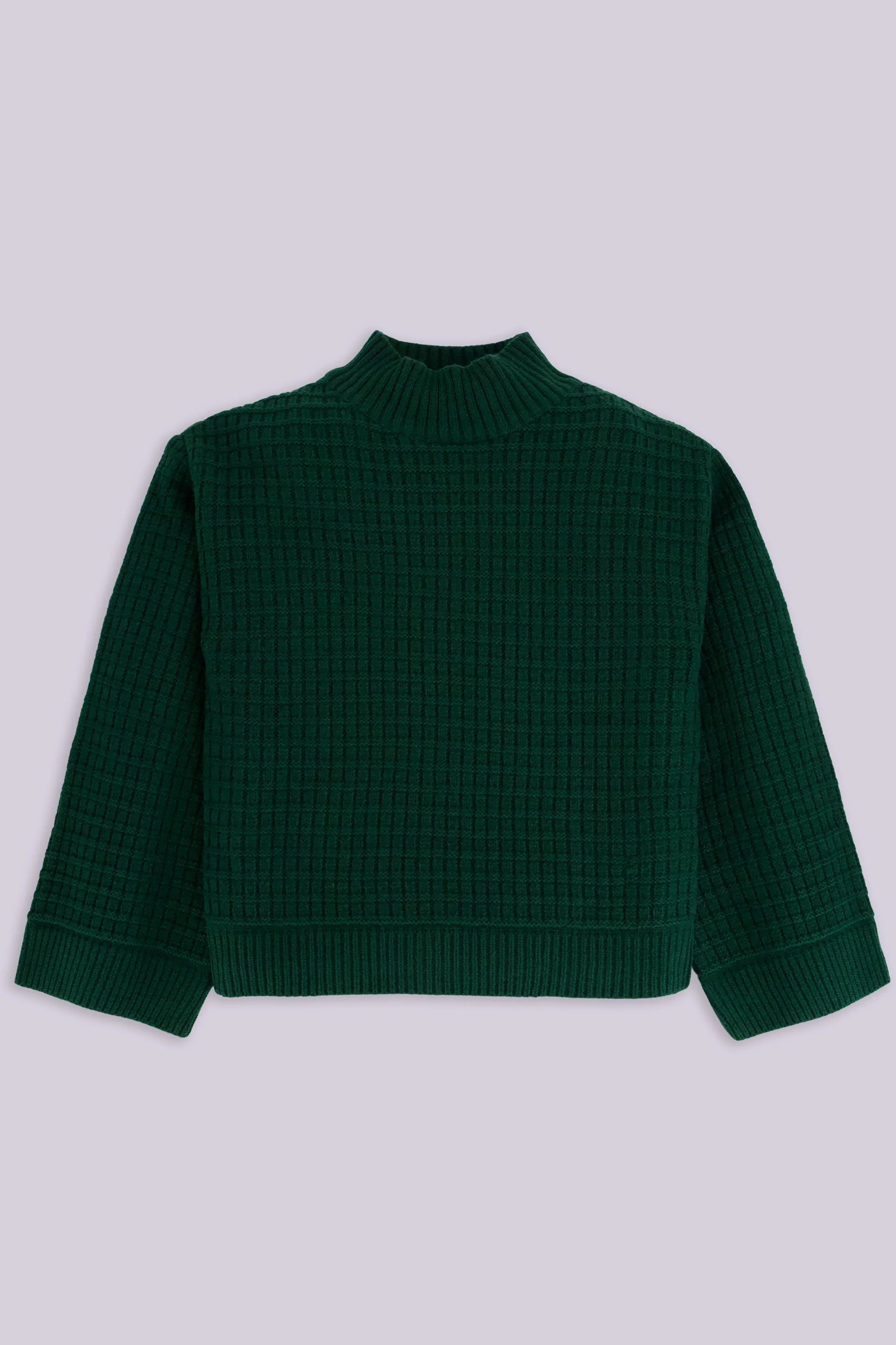 Mock Neck Texture Knit Sweater Girl Sweater Winter 2024 COUGAR- (Girl Junior Winter 2024) 5-6 Y Green 