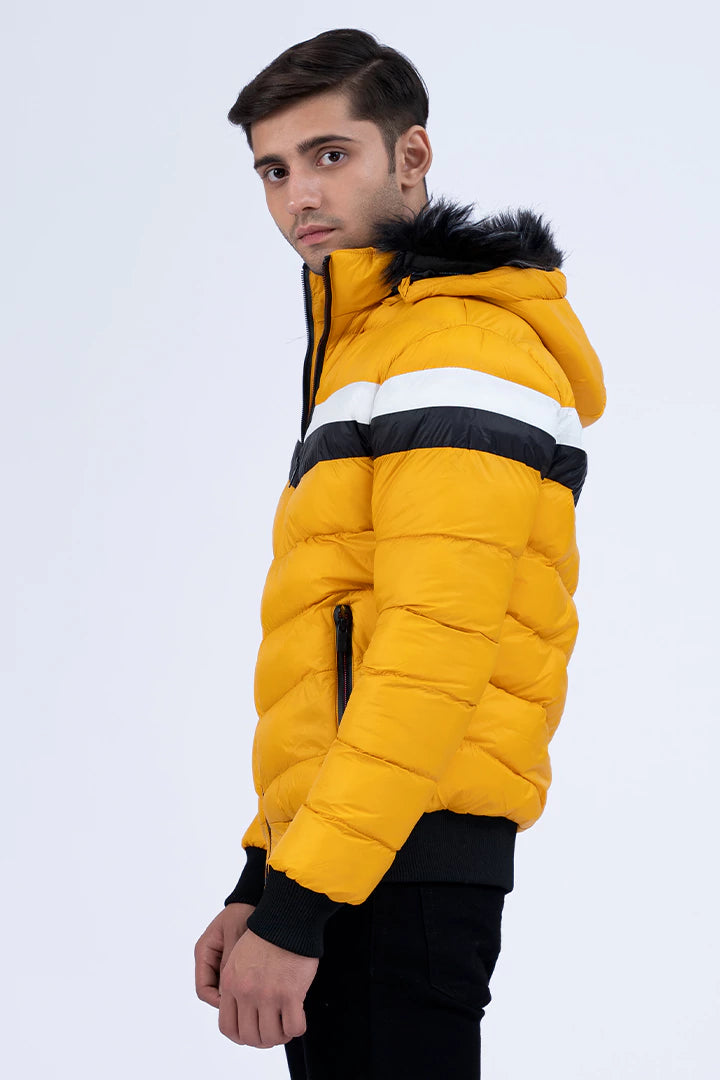 Mustard Faux Fur Hooded Puffer Jacket Men Jacket Winter 2023 Sportifall COUGAR   