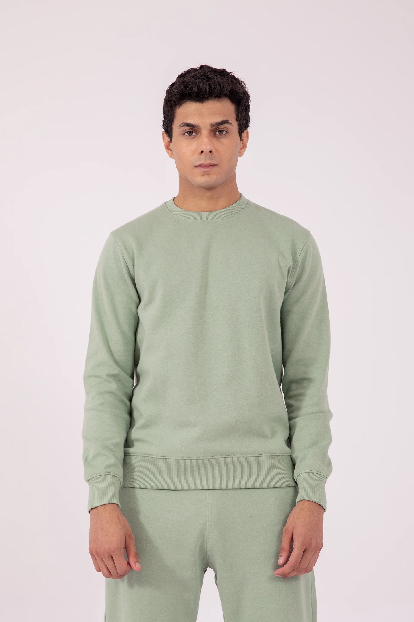 Crew Neck Sweatshirt Men Sweatshirt Winter 2024 Knit Story COUGAR- (Men Winter 2024) S Pistachio 