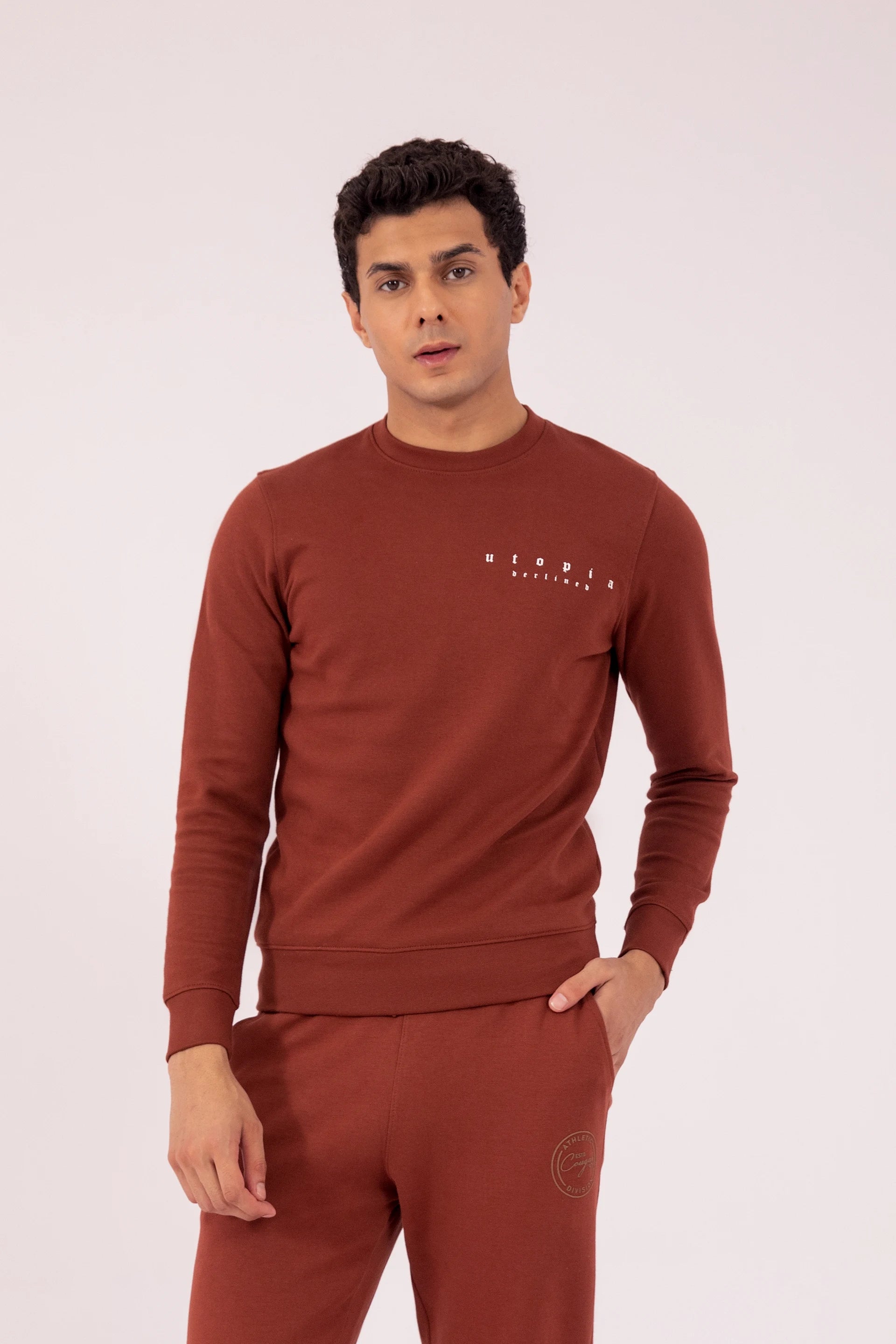 Back Printed Sweatshirt Men Sweatshirt Winter 2024 Knit Story COUGAR- (Men Winter 2024)   