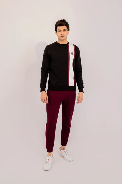 Contrast Paneled Sweatshirt Men Sweatshirt Winter 2024 Knit Story COUGAR- (Men Winter 2024)   