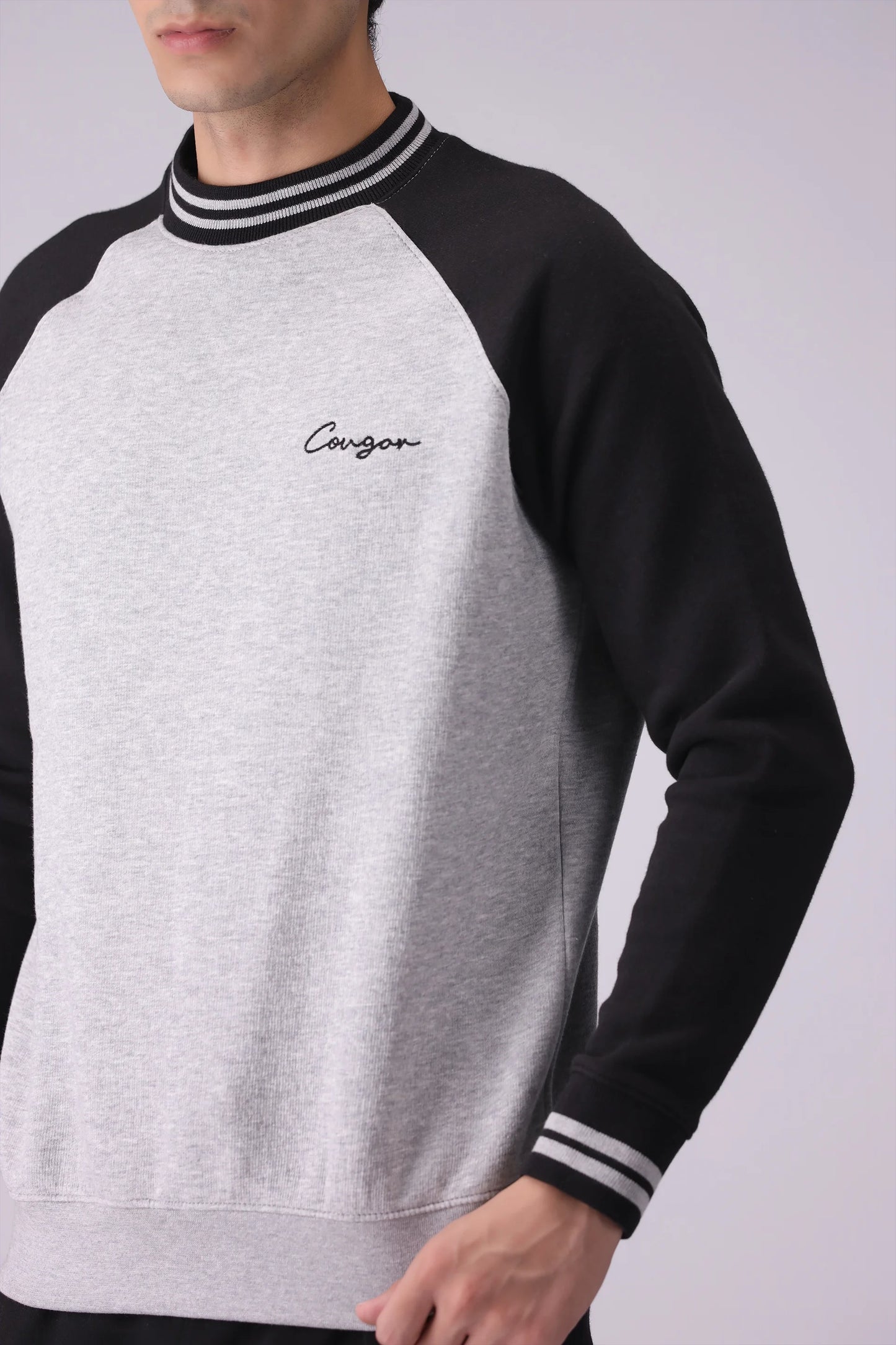 Raglan Sleeves Sweatshirt Men Sweatshirt Winter 2024 Knit Story COUGAR- (Men Winter 2024)   