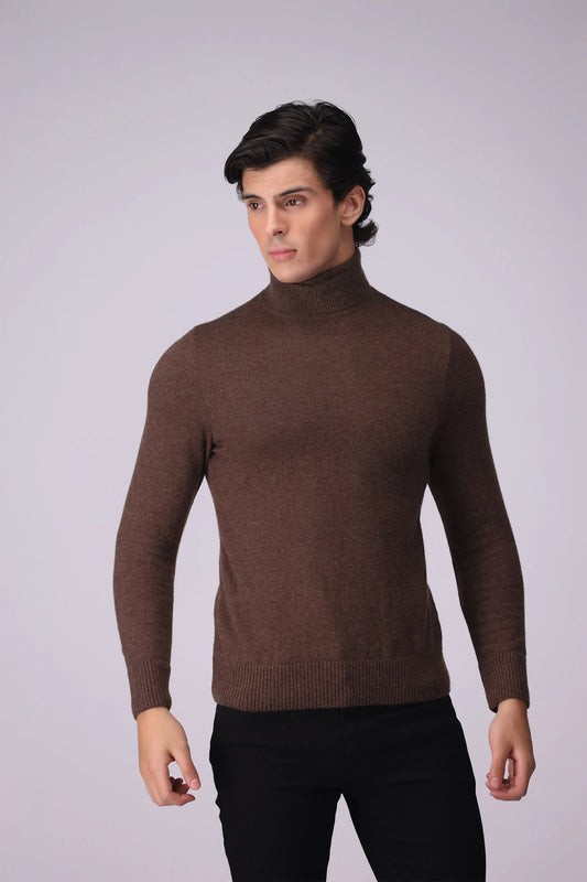 Turtleneck Plush Sweater Men Sweater Winter 2024 Knit Story COUGAR- (Men Winter 2024) M Brown 