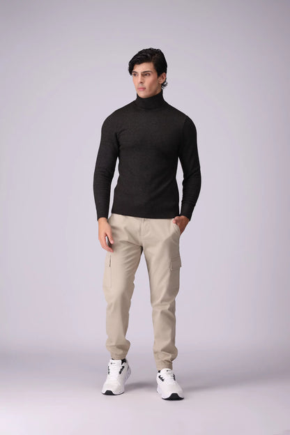 Turtleneck Plush Sweater Men Sweater Winter 2024 Knit Story COUGAR- (Men Winter 2024)   