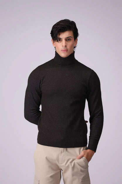 Turtleneck Plush Sweater Men Sweater Winter 2024 Knit Story COUGAR- (Men Winter 2024)   