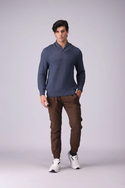 Shawl Neck Textured Knitted Sweater Men Sweater Winter 2024 Knit Story COUGAR- (Men Winter 2024)   