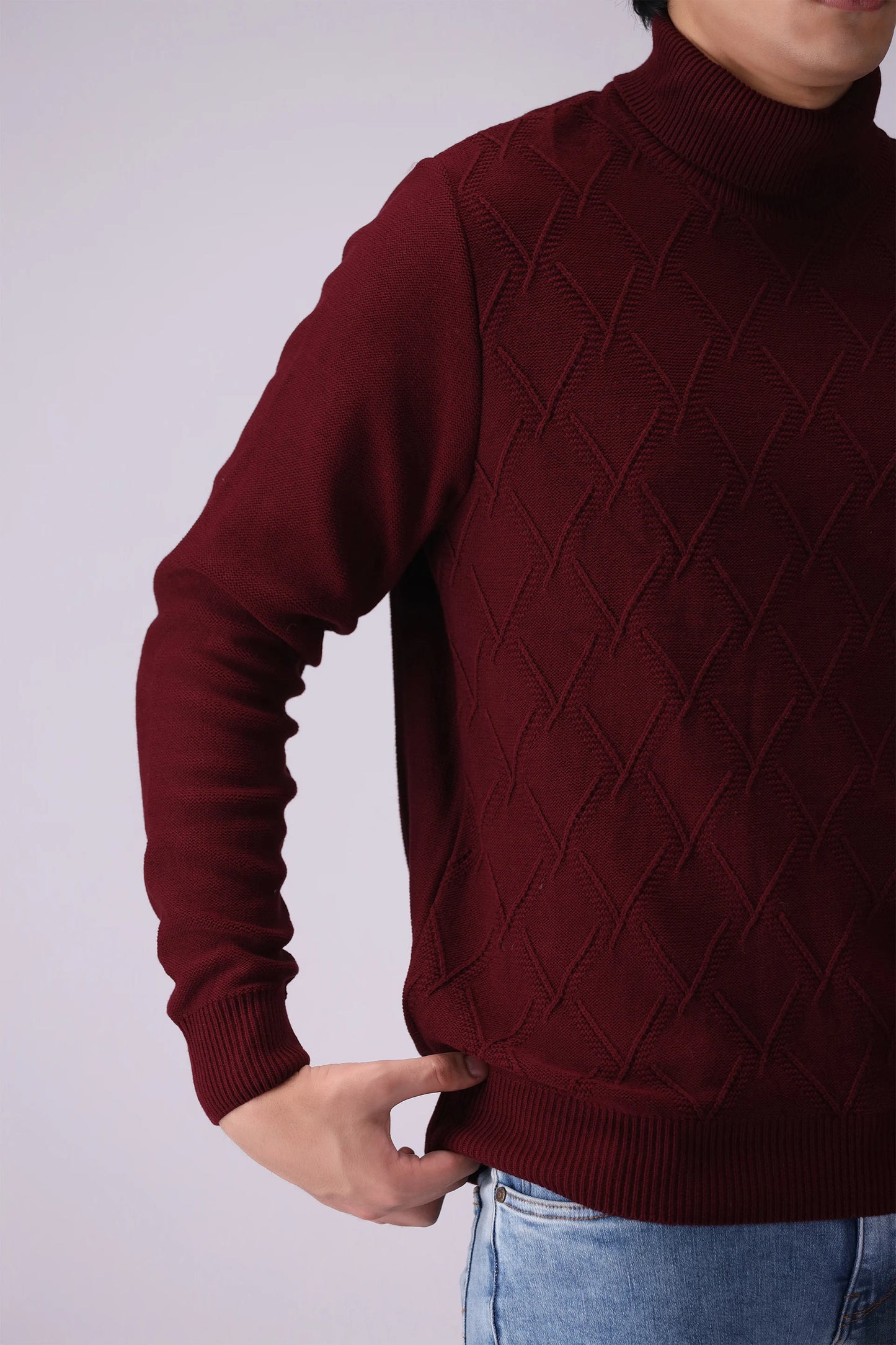 Roll Neck Textured Sweater Men Sweater Winter 2024 Knit Story COUGAR- (Men Winter 2024)   