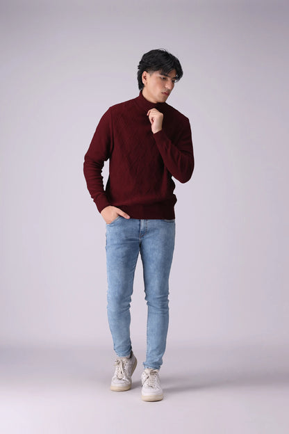 Roll Neck Textured Sweater Men Sweater Winter 2024 Knit Story COUGAR- (Men Winter 2024)   