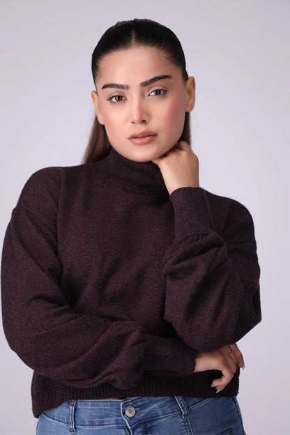 Shimmery Roll Neck Sweater Women Sweater Winter 2024 Knit Story COUGAR- (Women Winter 2024) SM Maroon 