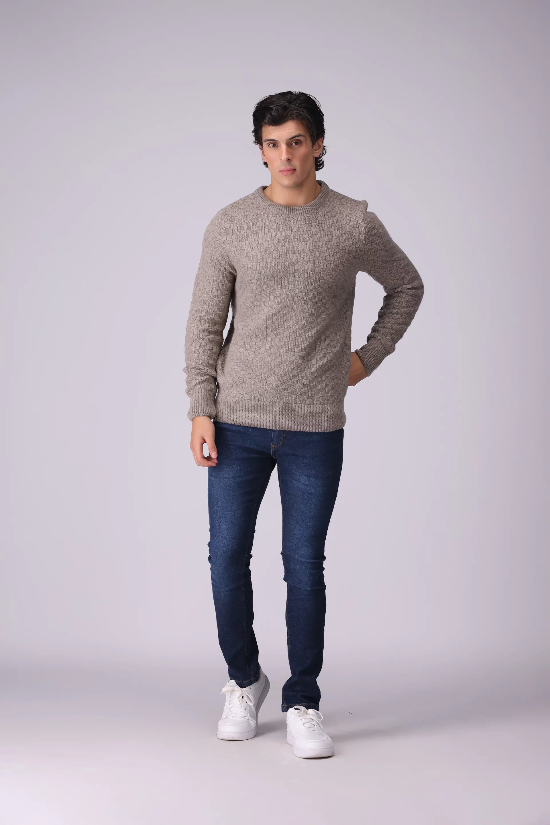 Textured Knitted Ribbed Sweater Men Sweater Winter 2024 Knit Story COUGAR- (Men Winter 2024)   