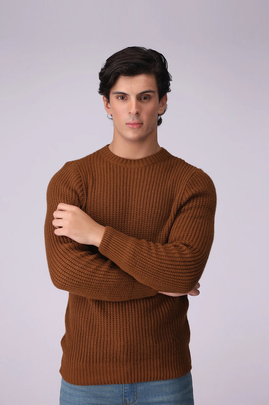 Purl Knit Sweater Men Sweater Winter 2024 Knit Story COUGAR- (Men Winter 2024)   