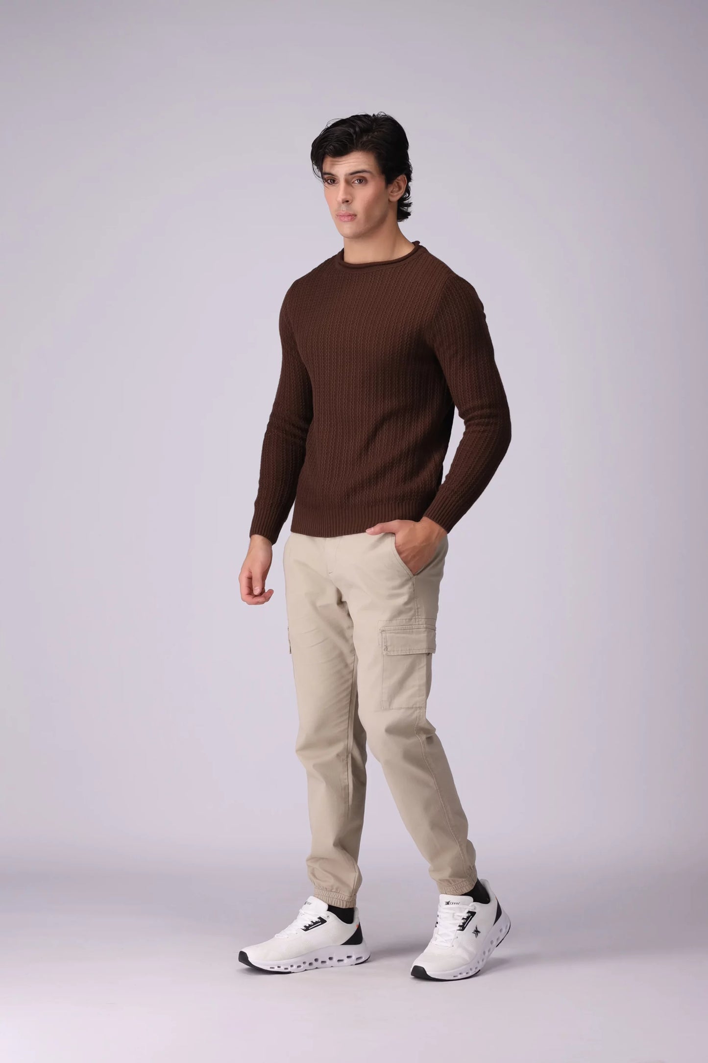 Crew Neck Textured Sweater Men Sweater Winter 2024 Knit Story COUGAR- (Men Winter 2024)   