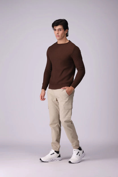 Crew Neck Textured Sweater Men Sweater Winter 2024 Knit Story COUGAR- (Men Winter 2024)   