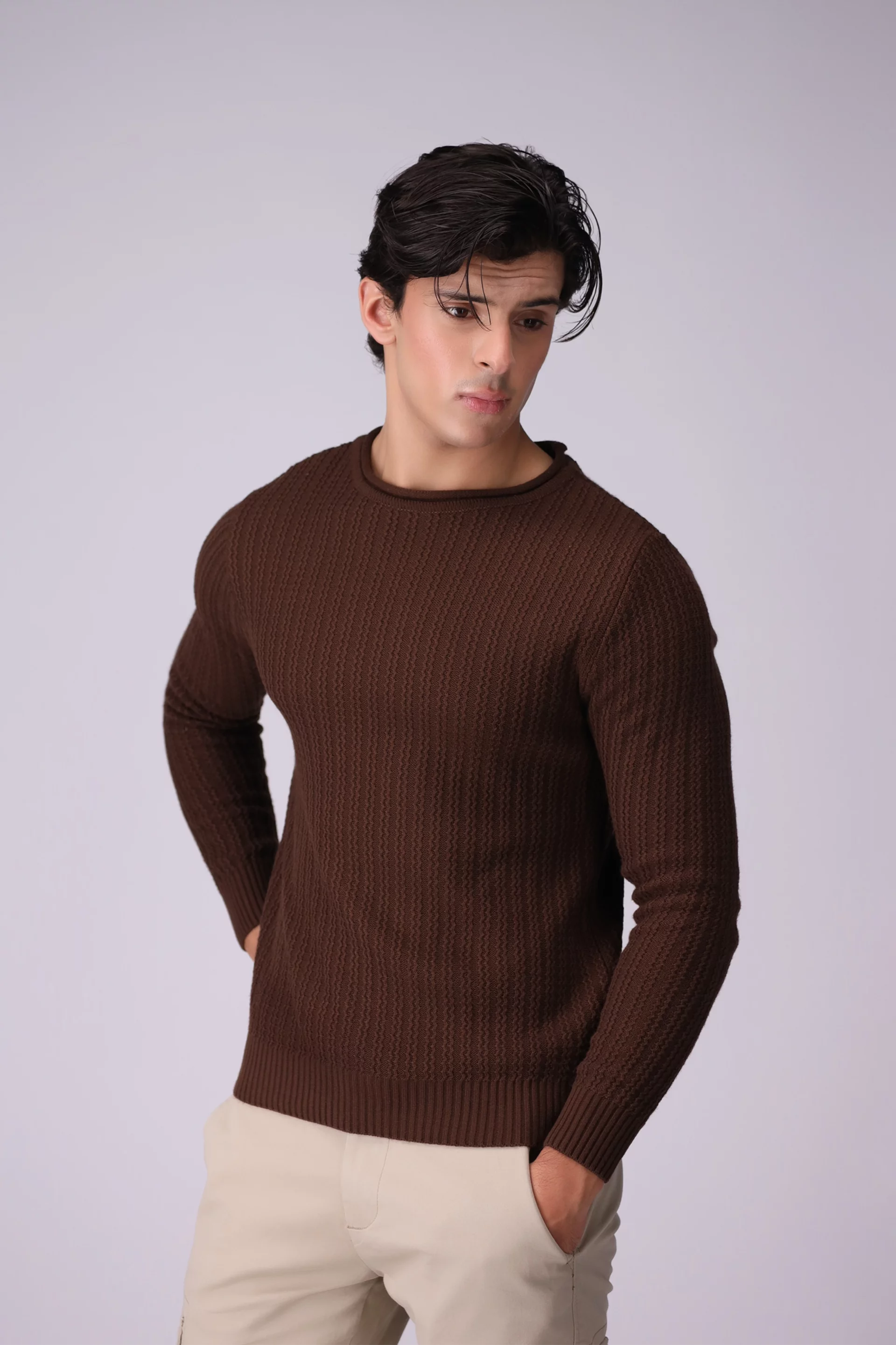 Crew Neck Textured Sweater Men Sweater Winter 2024 Knit Story COUGAR- (Men Winter 2024) M Brown 