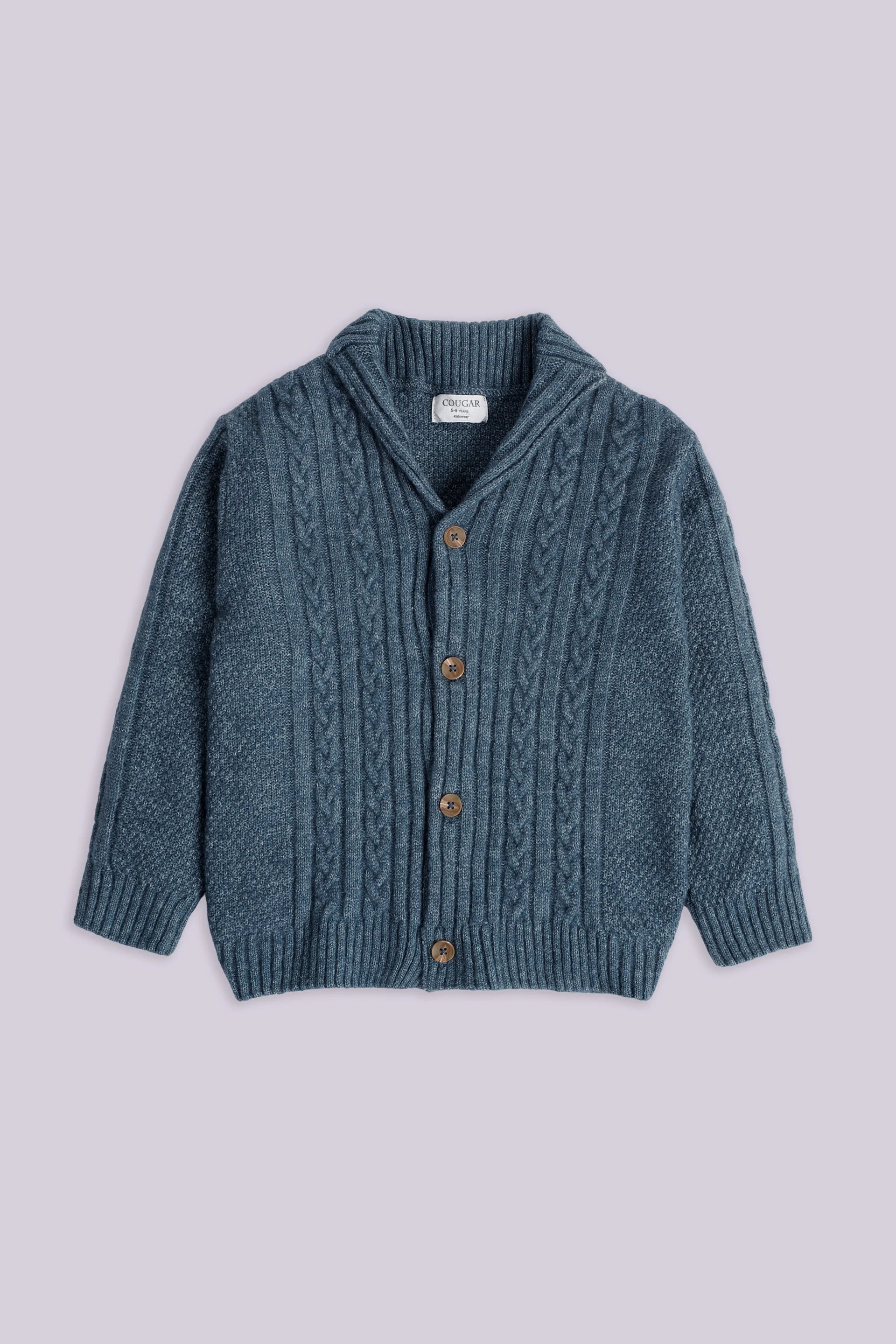 Cable Knit Button Down Cardigan Boy Sweater Winter 2024 COUGAR- (Boy Junior Winter 2024) 5-6 Y Light Blue Boy