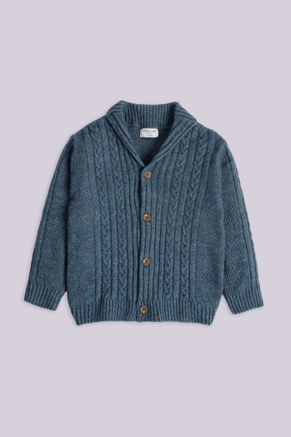 Cable Knit Button Down Cardigan Boy Sweater Winter 2024 COUGAR- (Boy Junior Winter 2024) 5-6 Y Light Blue Boy