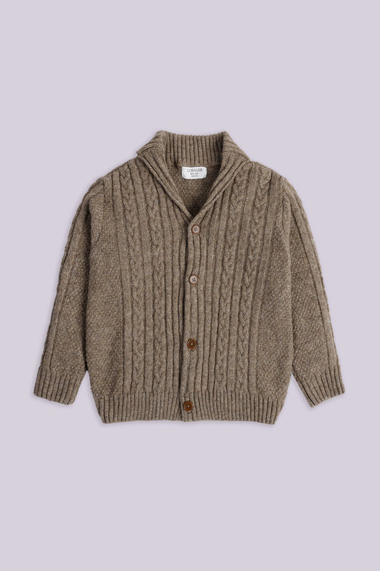 Cable Knit Cardigan Boy Sweater Winter 2024 COUGAR- (Boy Junior Winter 2024) 5-6 Y Brown Boy