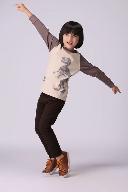 Contrast Raglan Graphic T-Shirt Boy Tee Fall 2024 COUGAR- (Boy Junior Fall 2024)   