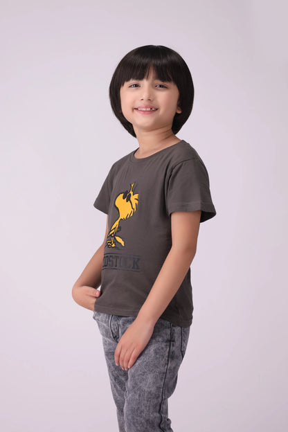 Character Graphic T-Shirt Boy Tee COUGAR (S V-1 2025) 5-6 Y Charcoal Boy