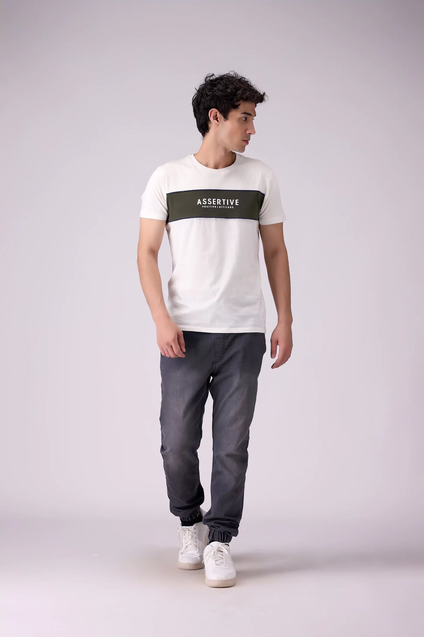 Regular Fit Paneled T-Shirt Men Tee COUGAR (S V-1 2025)